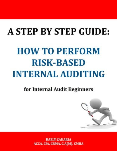 ایبوک A Step By Step Guide How to Perform Risk Based Internal خرید کتاب راهنمای گام به گام نحوه انجام داخلی مبتنی بر ریسک